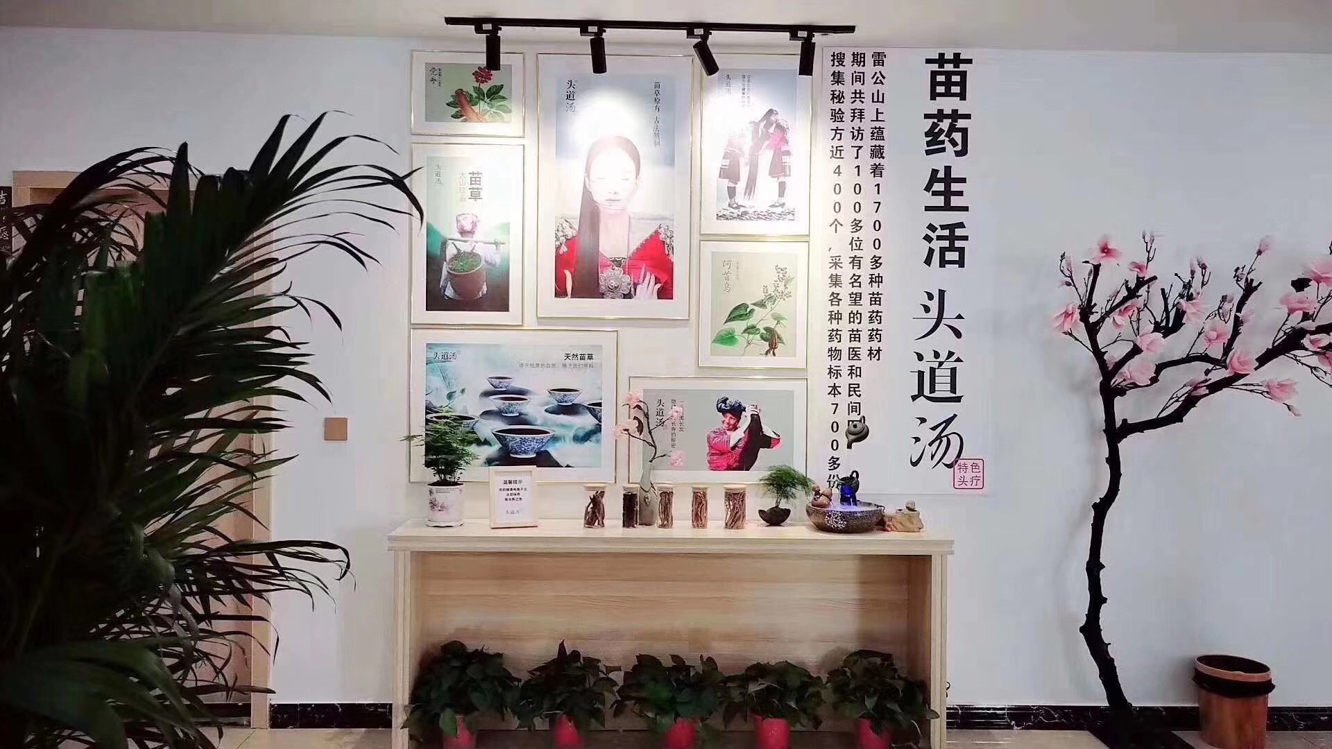 養發館